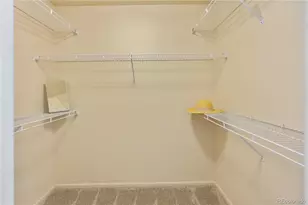 1246 Laurenwood Way, Highlands Ranch, CO 80129 - Photo 26