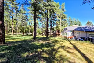 8057 Bannock Dr, Larkspur, CO 80118 - Photo 4