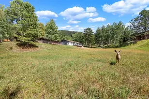 1035 Park View, Woodland Park, CO 80863 - Photo 2