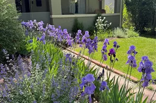 246 S Grant St, Denver, CO 80209 - Photo 46