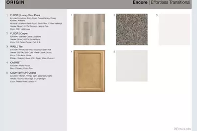 315 N Bently Street, Watkins, CO 80137 - Photo 4