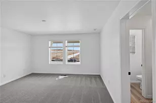 315 N Bently St, Watkins, CO 80137 - Photo 8