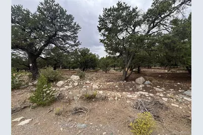 1916 Lone Pine Way, Crestone, CO 81131 - Photo 6