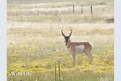 500 Two Creeks, Cotopaxi, CO 81223 - Photo 46