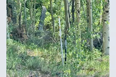 Lot 5850 Richardson Road, Fort Garland, CO 81152 - Photo 14