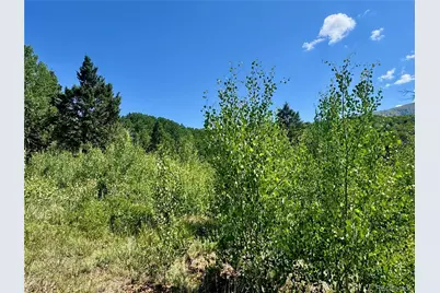 Lot 5850 Richardson Road, Fort Garland, CO 81152 - Photo 4