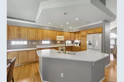 10235 Alexa Lane, Highlands Ranch, CO 80130 - Photo 8