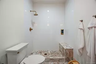 4511 Silver Cliff Ct, Castle Rock, CO 80108 - Photo 40