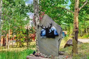 10972 Milliken Ave, Conifer, CO 80433 - Photo 48