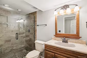 9776 Westbury Way, Highlands Ranch, CO 80129 - Photo 40