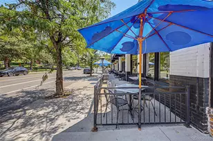 610 N Logan Street, Denver, CO 80203 - Photo 32