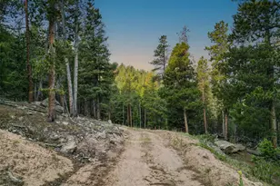 26271 Richmond Hill Rd, Conifer, CO 80433 - Photo 46