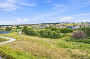 628 Yankee Boy Loop, Elizabeth, CO 80107 - Photo 46