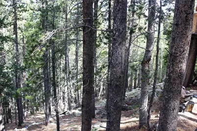 3504 Hidden Wilderness Road, Idaho Springs, CO 80439 - Photo 6