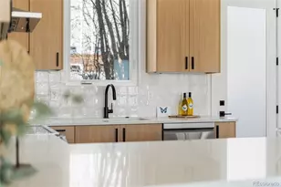 4527 W Wells Pl, Denver, CO 80204 - Photo 14