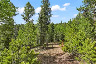65 Spruce Creek Rd, Divide, CO 80814 - Photo 1
