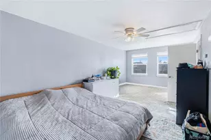 316 N Gilbert St, Castle Rock, CO 80104 - Photo 12
