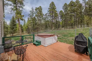 124 Bear Trail, Lake George, CO 80827 - Photo 38