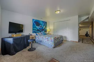 124 Bear Trail, Lake George, CO 80827 - Photo 36