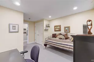 463 Locust St, Denver, CO 80220 - Photo 18