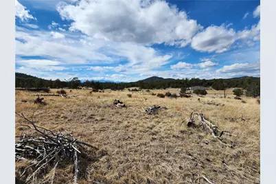 Pinon, Cotopaxi, CO 81223 - Photo 2