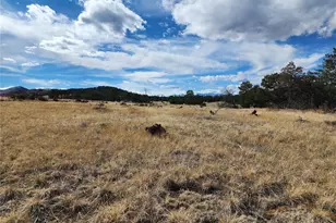 Pinon, Cotopaxi, CO 81223 - Photo 1