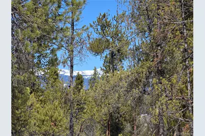 379 Lodgepole Drive, Twin Lakes, CO 81251 - Photo 8