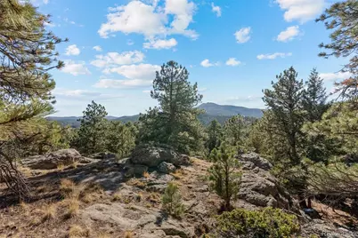 7153 Silverhorn Drive, Evergreen, CO 80439 - Photo 4