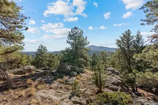 7153 Silverhorn Dr, Evergreen, CO 80439 - Photo 4