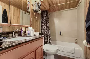3058 Ivanhoe St, Denver, CO 80207 - Photo 10