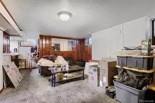 3058 Ivanhoe St, Denver, CO 80207 - Photo 8