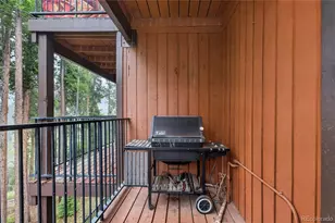 189 County Road 702, Winter Park, CO 80482 - Photo 6