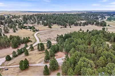 4882 Antelope Trail, Elbert, CO 80106 - Photo 46