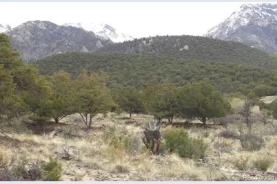 918 Pine Cone Way, Crestone, CO 81131 - Photo 4