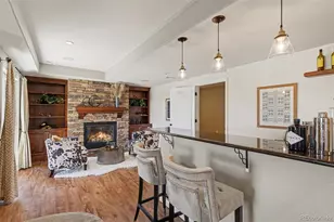 11708 Mill Valley St, Parker, CO 80138 - Photo 28