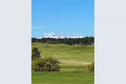 3125 Red Kit Road, Franktown, CO 80116 - Photo 34