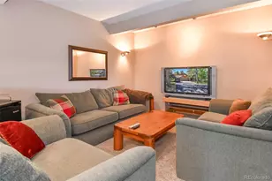 25758 Summergreen Ln, Golden, CO 80401 - Photo 26