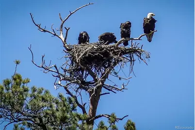 671 Midland Court, Lake George, CO 80827 - Photo 34