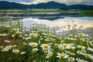 671 Midland Ct, Lake George, CO 80827 - Photo 20