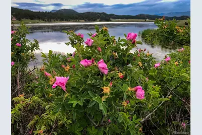 671 Midland Court, Lake George, CO 80827 - Photo 50