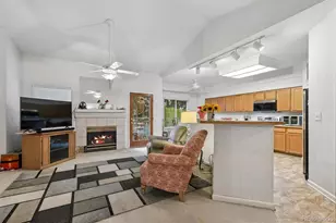 16907 Molina Pl, Parker, CO 80134 - Photo 10