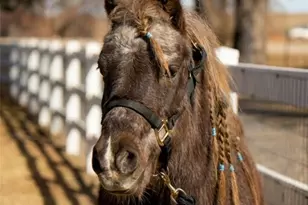 7390 Ute Hwy, Longmont, CO 80503 - Photo 32