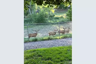 15953 E Baltic Place, Aurora, CO 80013 - Photo 28