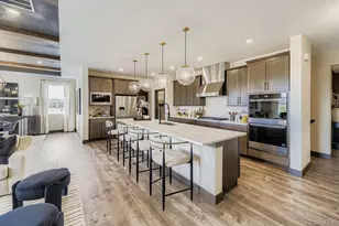 15571 Brandy Gulch Ln, Parker, CO 80134 - Photo 6