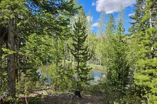 134 Mad Moose Ln, Grand Lake, CO 80447 - Photo 2
