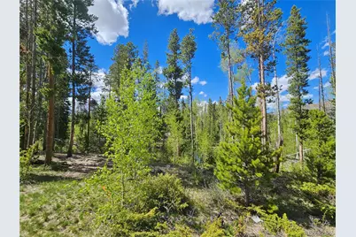 134 Mad Moose Lane, Grand Lake, CO 80447 - Photo 8