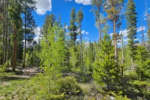 134 Mad Moose Ln, Grand Lake, CO 80447 - Photo 8