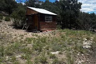1880 Copper Gulch Rd, Cotopaxi, CO 81223 - Photo 1