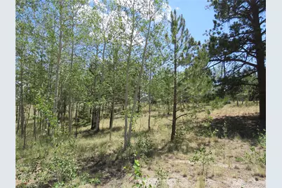 104 Hawk Way, Jefferson, CO 80456 - Photo 8