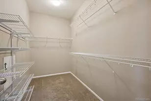 3350 Cascina Cir, Highlands Ranch, CO 80126 - Photo 24